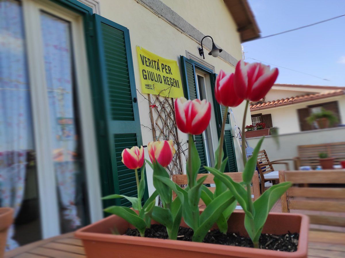 GiulioSiamoNoi's tweet photo. 62 mesi fa il ritrovamento del corpo di Giulio: a fango e depistaggi egiziani i nostri governi hanno risposto timidamente,e rinforzando accordi economici.

Cosa non vogliono che si sappia,come si può scegliere di stare dalla parte dei torturatori?
#3aprile
#veritapergiulioregeni https://t.co/bZ9907UU9Q