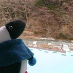 ツイートに含まれる画像