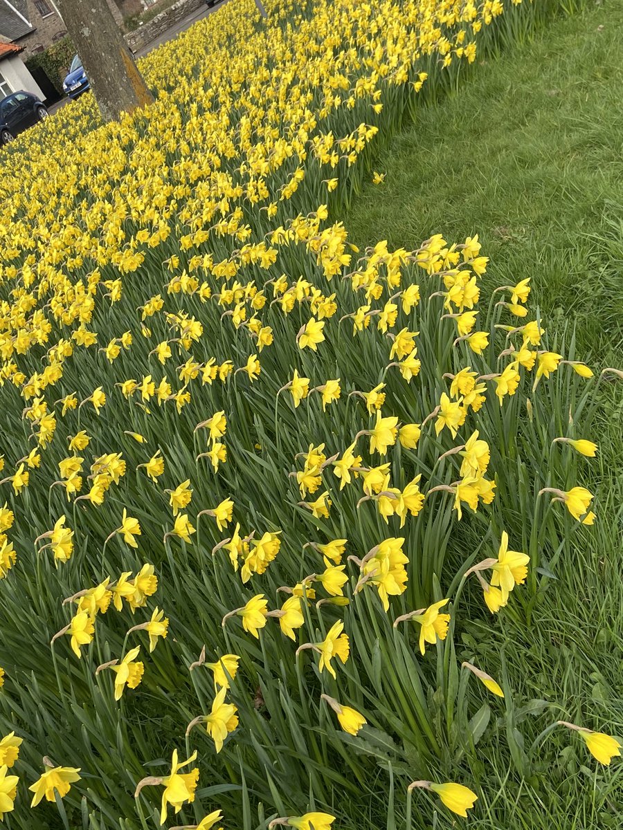 Louise Riggs tweet media