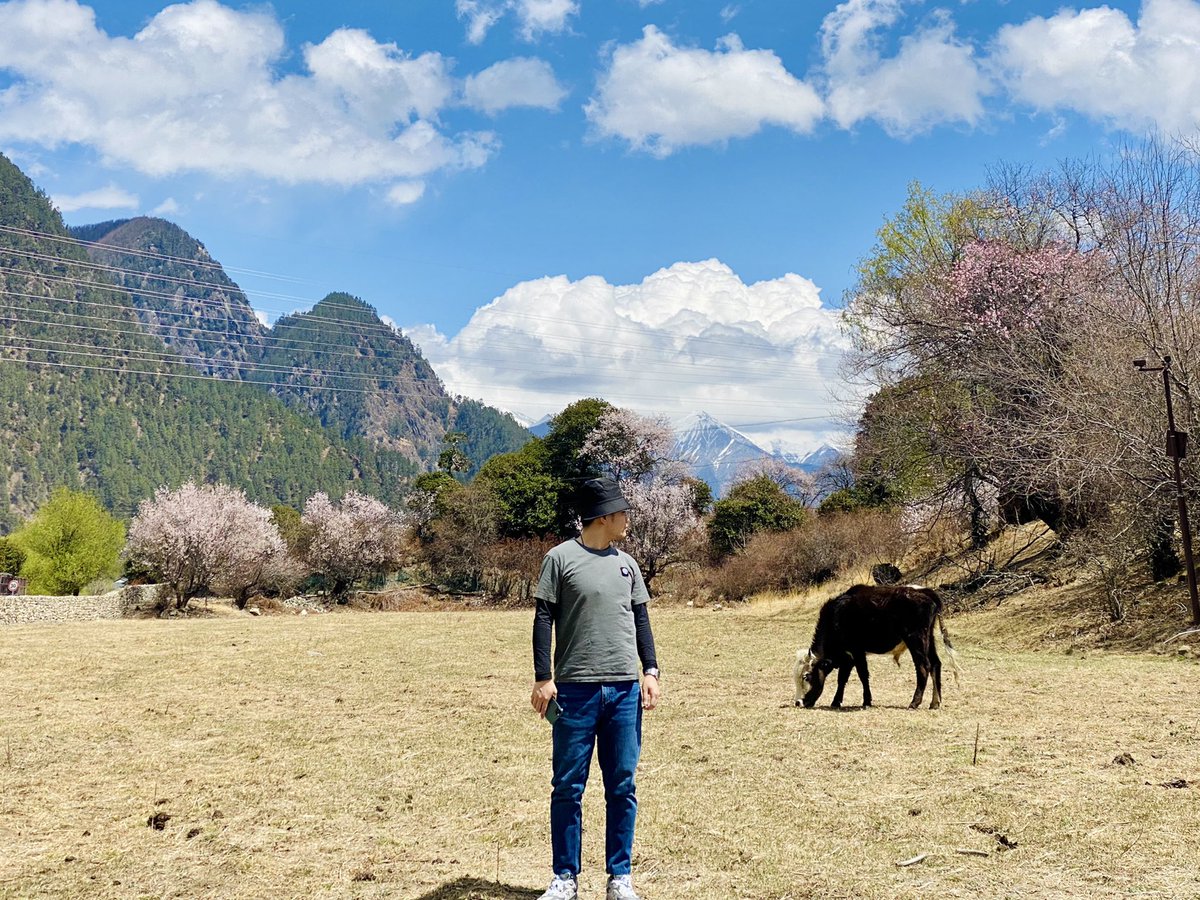 msvanny's tweet photo. 今天天氣太好啦🐮 https://t.co/FGT0XZ6PVh