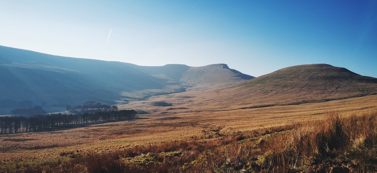 Wild Trails Wales - Nia tweet media