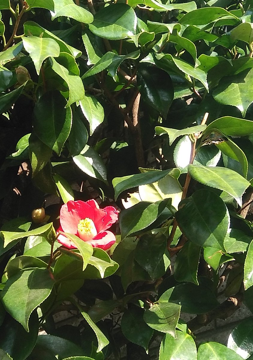 カラオケ 作品 映画 ドラマ 最新情報まとめ みんなの評判 評価が見れる ナウティスモーション 69ページ目