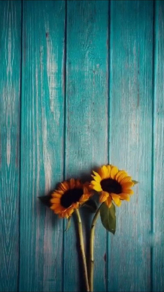 “YÊU CẦU H&amp;M RỜI KHỎI VIỆT NAM VÀ CÓ LỜI XIN LỖI CHÍNH THỨC TỚI NGƯỜI DÂN TỔ QUỐC CHÚNG TÔI! VIỆT NAM! HÀNH ĐỘNG TRÊN CỦA BRAND LÀ SAI TRÁI VÀ XỨNG ĐÁNG BỊ TẨY CHAY! “
#BoycottHM
#TaychayHM
#HMgetoutofVietNam
#HoangSaTruongSabelongtoVietNam 🇻🇳