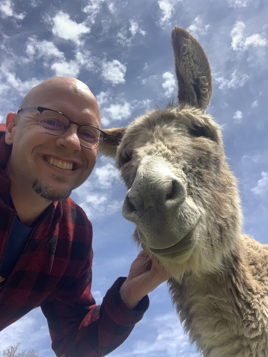 MrHeimOne91's tweet photo. New thing: Donkey Selfiesπππ Just something bout it. #springbreak21 https://t.co/VOTn3qogt0