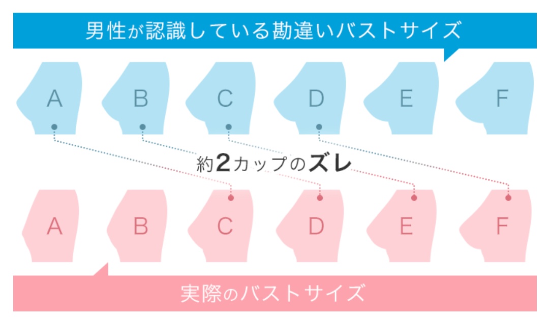 ゆあ 男性がよく勘違いしてるバストサイズ まあ自分でも下着屋さんで測ってもらってf と最初ビックリしたけど 見た目 と実際って全然違かったりする アンダーとの差もあるし 思い込みって怖いなあ 何事も固定概念や思い込みから入るのはやめようと