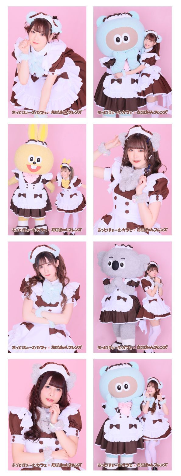 あっとほぉーむカフェ　Chimu タワレコ　たぬきゅんフレンズ　ブロマイド あっとほぉーむカフェ×たぬきゅんフレンズ コラボグッズ発売情報