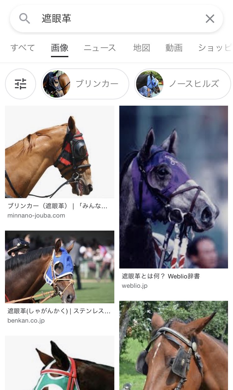 ジャック梶田 競走馬は遮眼革というものを着けて視界を狭めて集中力を上げるそうな ボディビルダーがキャップやフードを被りながらトレーニングするのと同じだね T Co 7laak33kw6 Twitter