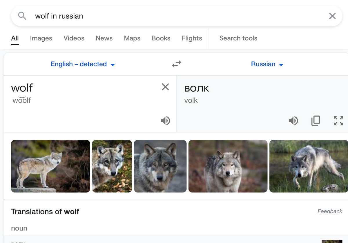医学生白虎 Wolf Volk Bonk Go To Horni Jail B O N K