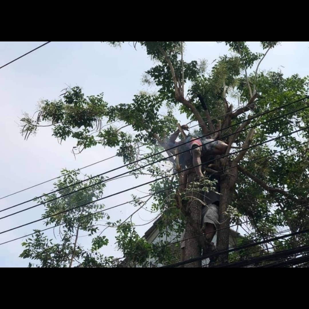 stevekaposi's tweet photo. BBQ Boy gets zapped on power lines in #Thailand! 

https://t.co/ES9VfmV67A 

#Bangkok #ThailandNews #SteveKThailand #TACSThailand #ThailandWatch #DiscoverThailand #StrangeThailand #AmazingThailand #GruesomeThailand #ThaiSafetyFirst #electrocution #safety https://t.co/hkrUDt7Spe