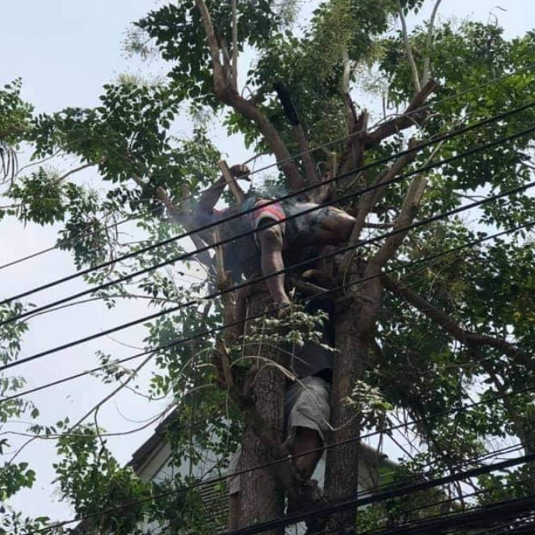 stevekaposi's tweet photo. BBQ Boy gets zapped on power lines in #Thailand! 

https://t.co/ES9VfmV67A 

#Bangkok #ThailandNews #SteveKThailand #TACSThailand #ThailandWatch #DiscoverThailand #StrangeThailand #AmazingThailand #GruesomeThailand #ThaiSafetyFirst #electrocution #safety https://t.co/hkrUDt7Spe