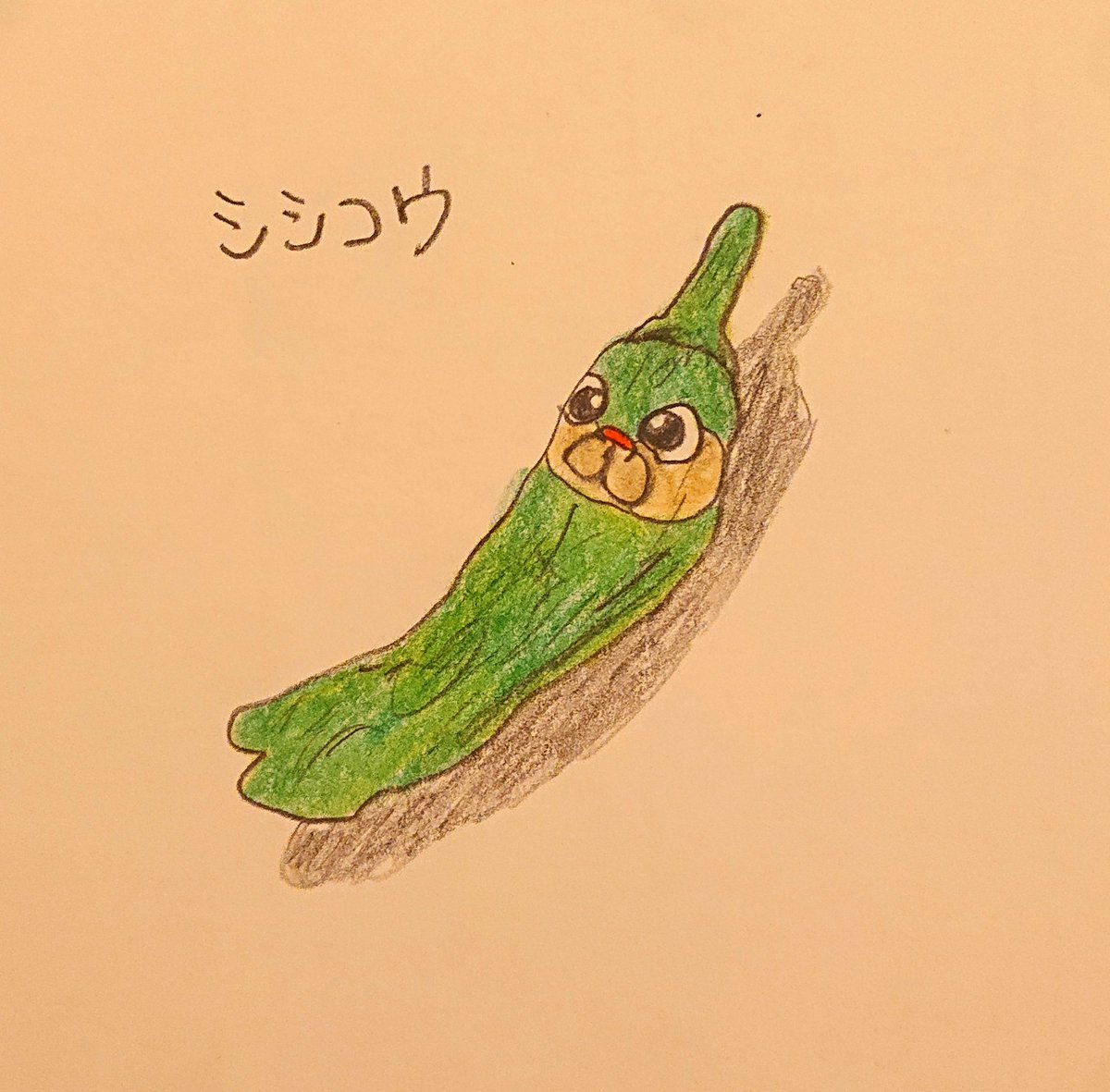 とうがらし とうがらし