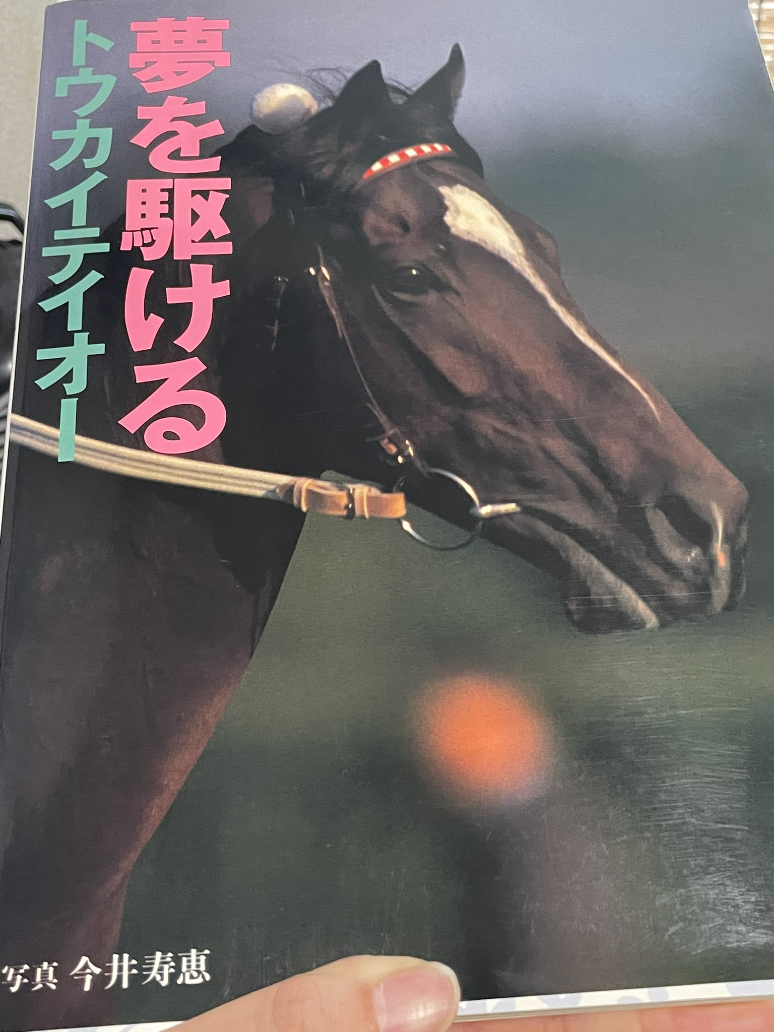 トウカイテイオー 引退記念写真集 - 趣味、スポーツ、実用 トウカイテイオー 引退記念写真集 - 趣味、スポーツ、実用