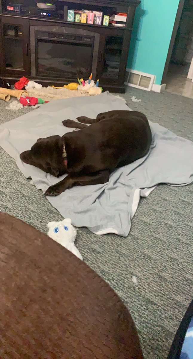 mochaladocha's tweet photo. Pro tip:
If you smear your half eaten dog biscuit on your mom’s blanket in hopes of getting her #reesesegg, you will get the blanket. Follow me for more #lifehacks #itsalabthing https://t.co/LFUCa6gGvv