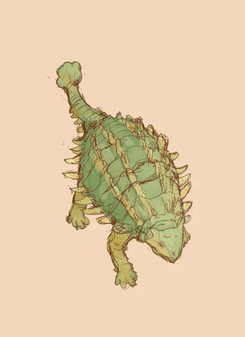 アンキロサウルス。全身を皮骨という骨から作った装甲で固めた鎧竜で、似た姿をしたノドサウルス類の中まで密に詰まった装甲と異なり中は中空で軽量化してありそれなりに機敏だったと考えられています。尾もハンマー状の密な構造で、用途はやっぱり武器だったのだろうなと。あと糞食だったかもと。 