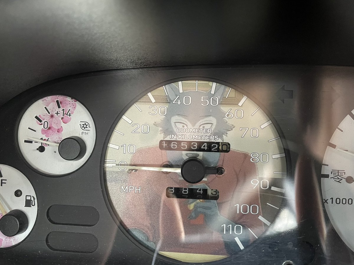 BoofLoop🏎🌸 tweet media