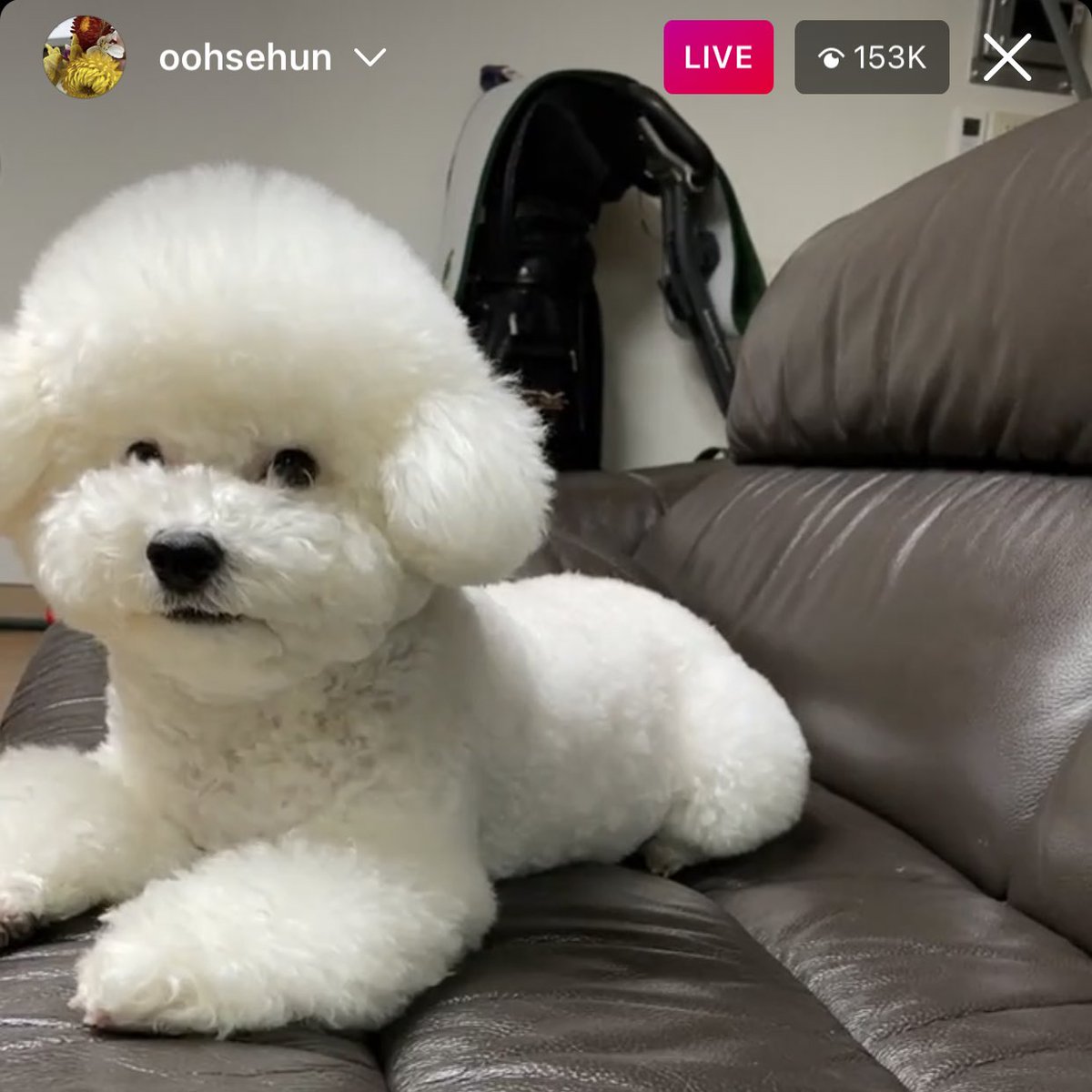 วันนี้กุมาทำให้พวกอิแอ๋วมันรู้ว่า ใครกันแน่ที่เป็นตัวจริงของพ่อ!