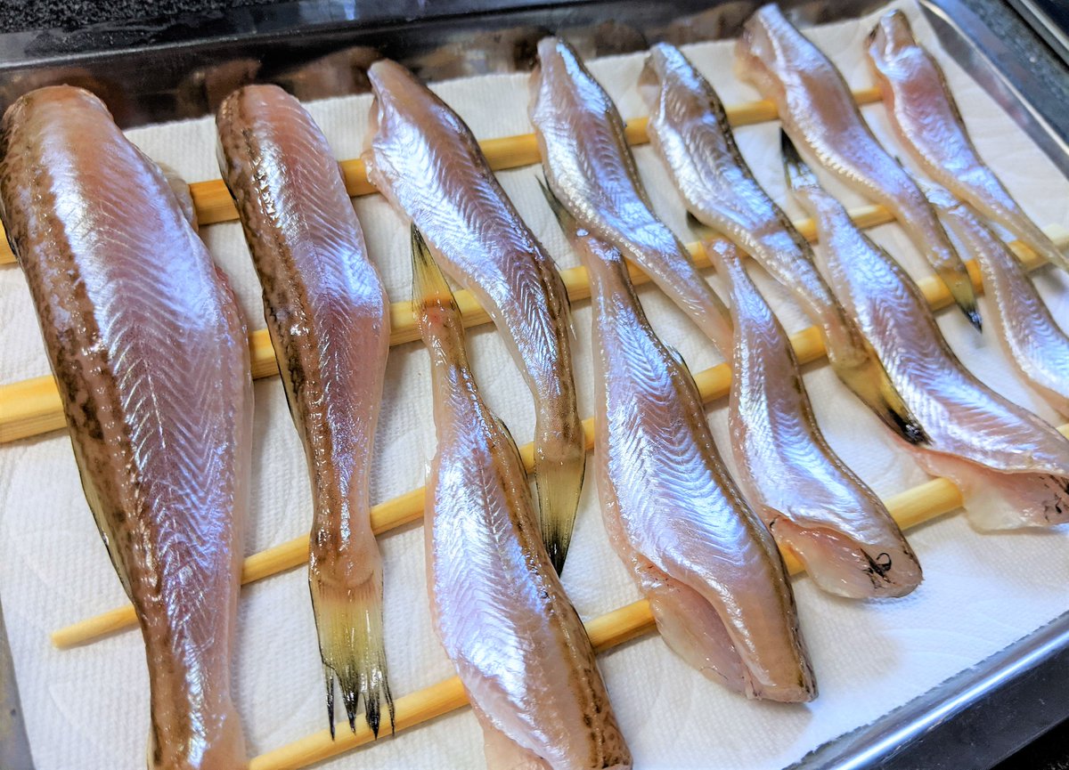 冷蔵庫で一夜干し