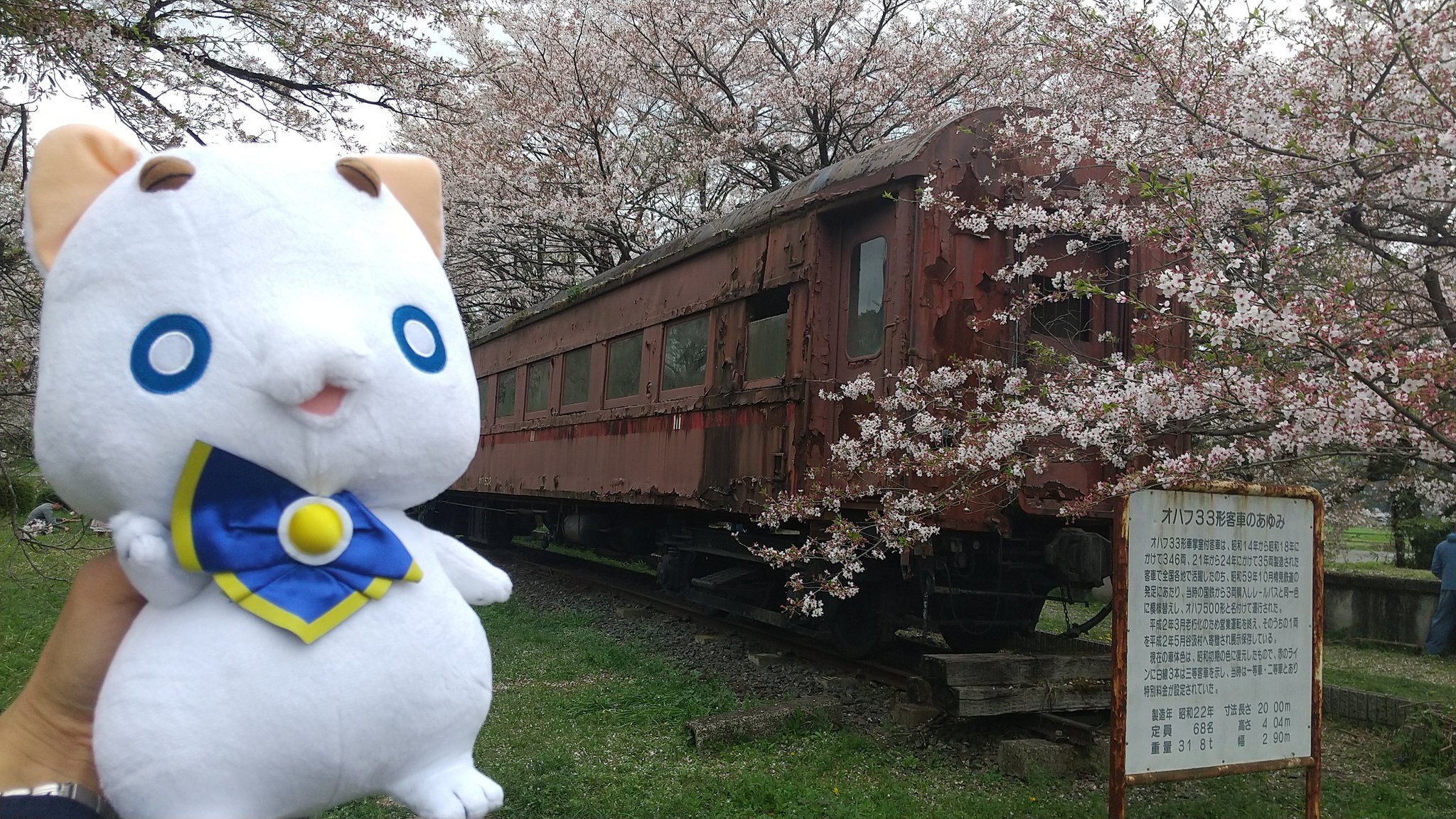 伊えのすけ Rt Sora Pie 今日はアリア社長とピクニックに来ました 廃電と桜というaria的スポットです とっておきの春みーつけた T Co 3tu8aznn3h Twitter