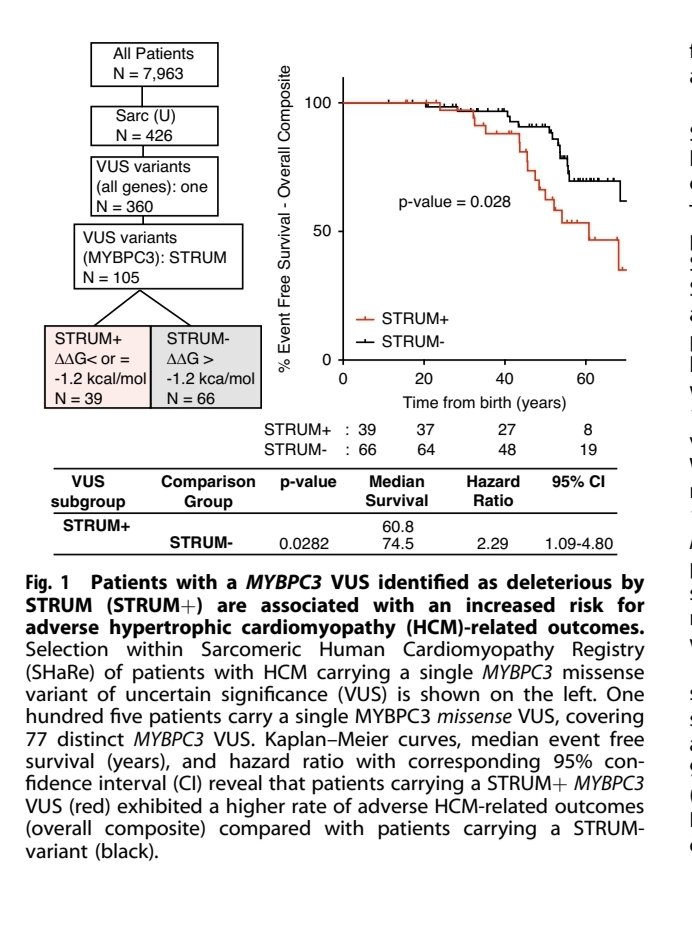 MasriAhmadMD's tweet image. A structural based algorithm (STRUM) identified patients with #HCM and #MYBPC3 who may be at higher risk, providing evidence for pathogenicity. More data from SHaRe 

nature.com/articles/s4143…

#cardiotwitter