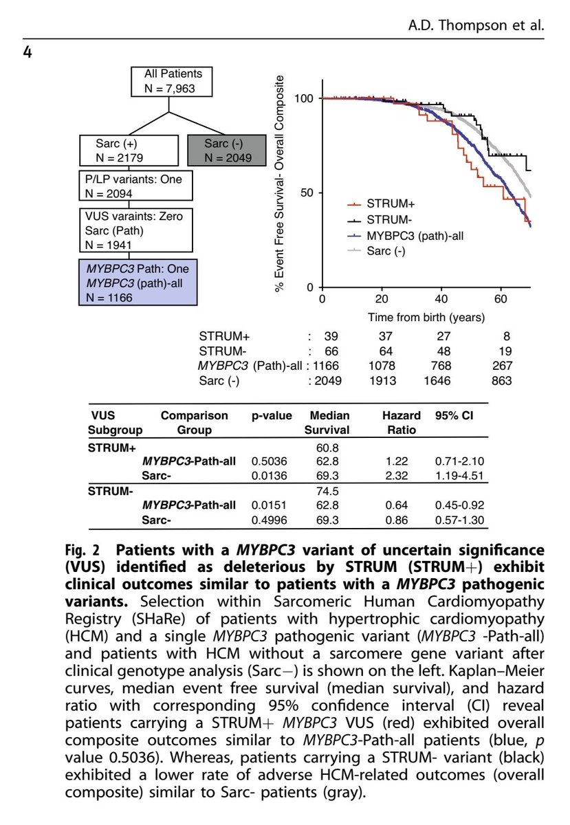 MasriAhmadMD's tweet image. A structural based algorithm (STRUM) identified patients with #HCM and #MYBPC3 who may be at higher risk, providing evidence for pathogenicity. More data from SHaRe 

nature.com/articles/s4143…

#cardiotwitter