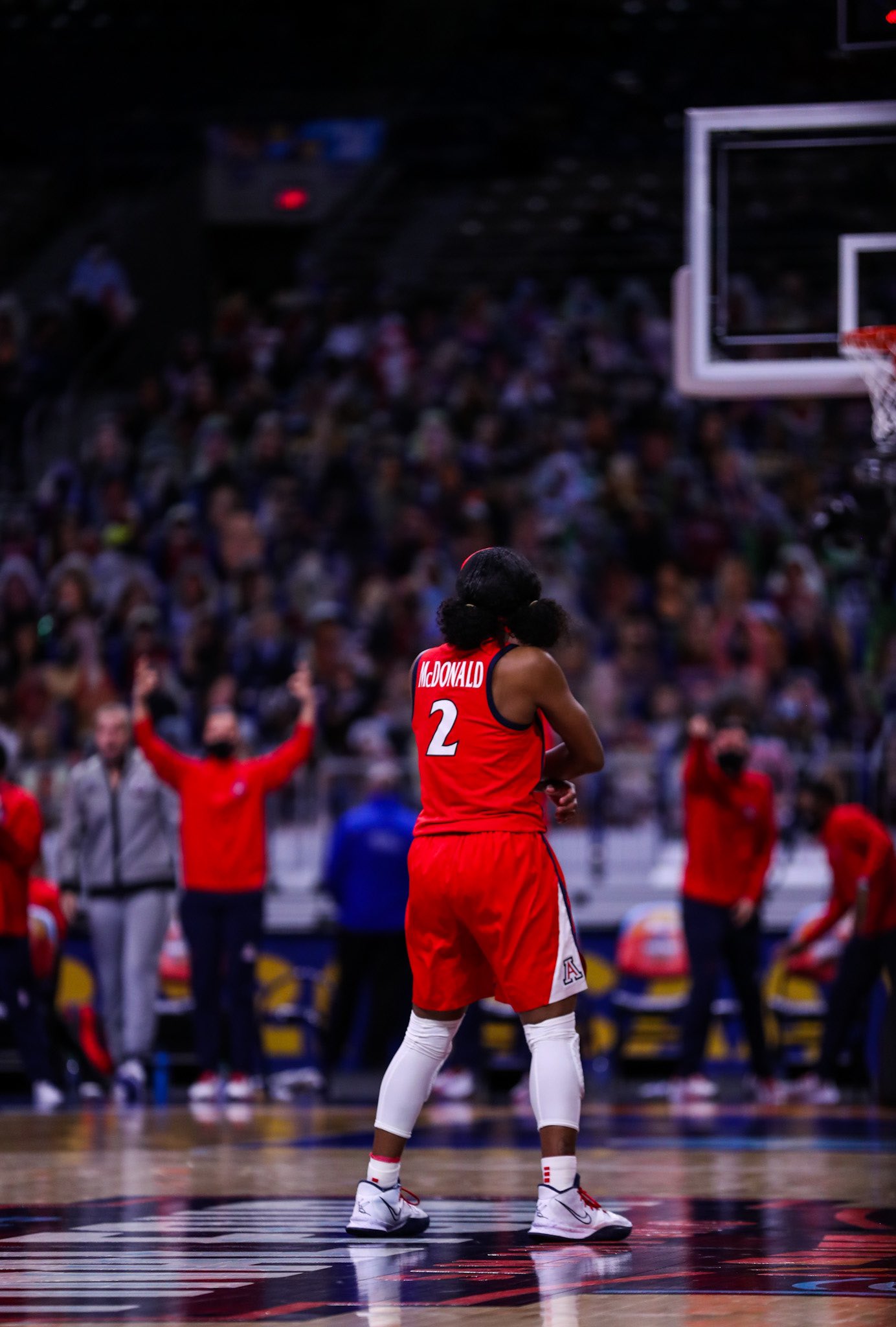 Travis Reed (@Travreed4) / Twitter