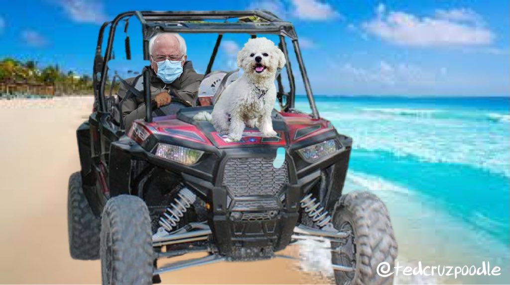 TedCruzPoodle's tweet photo. @mrhismissed @Mo_Zona @OOrynx @Ramcharger9 @LiberalWombat @HatsVt @BoebertGoat @LeviFetterman @nunes_goat @ChucksPidgin Oh yes he did!!!
#AdventuresWithBernie
#AdventuresWithSnowflake ❄️ https://t.co/MmvyGEeieK