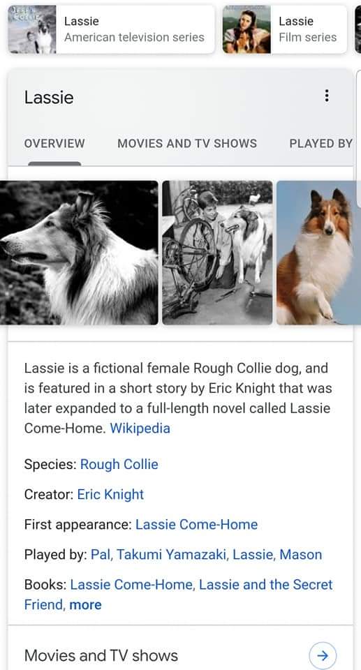 portelanarpo's tweet photo. • 🎭 • De Vânzare Figurină Statuetă Bibelou Porțelan Arpo Lassie Best Friends Forever Rough Collie Shepherd Cățel Grivei Câine Trofeu FolkArt Vintage Kitsch • *** Se Vinde Statuetă Figurină de Porțelan fin model Socialist Folclorul Balcanic renumit ca " Lassie Collie " *** • https://t.co/sjElNHMS4n