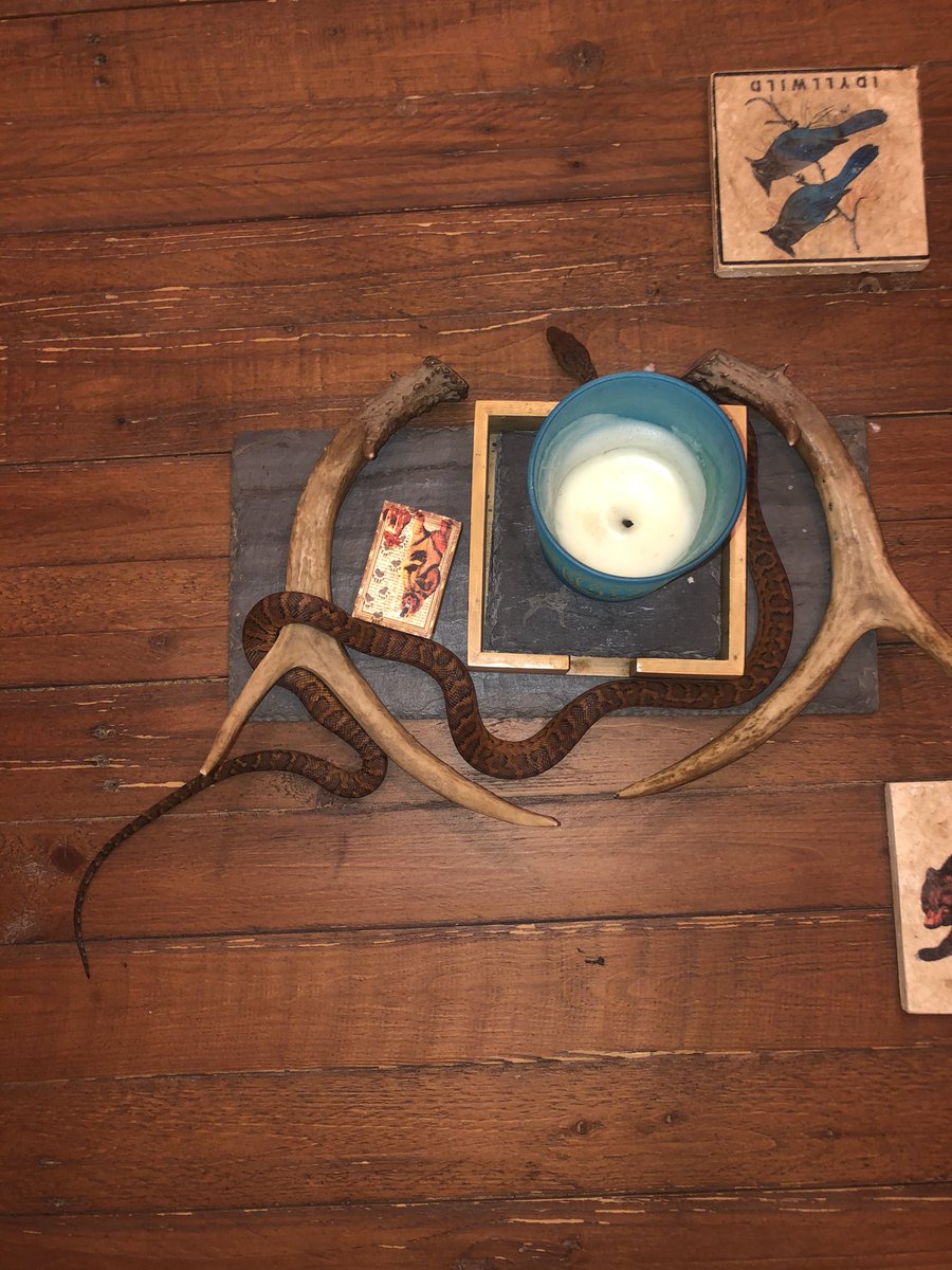 Sim Williams tweet media