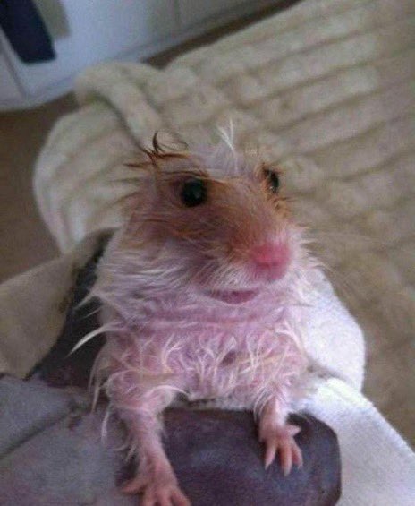 BLEEDBLEEDBLEED's tweet image. NATHANIEL OSBORNE