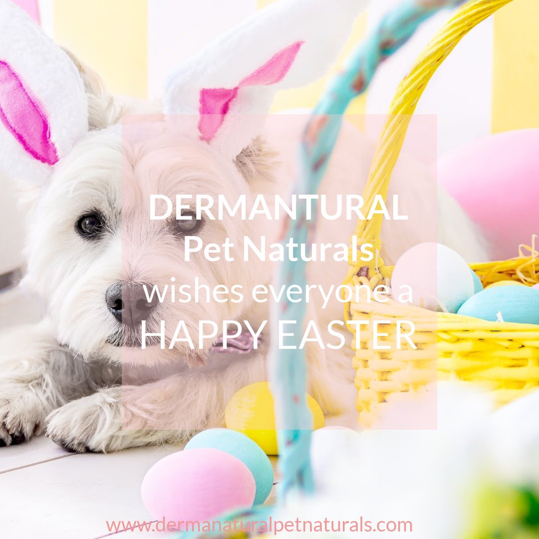 dermanaturalpet's tweet photo. 🐣❤HAPPY EASTER - LOVE, while most of us will not have to prove our friendship with death, a true friend will sacrifice in other ways.  Letting go of selfishness is a great mark of love (John15:13) no one shows greater love than when he lays down his life for his friends.❤🐣 https://t.co/6MWM25Tb7O