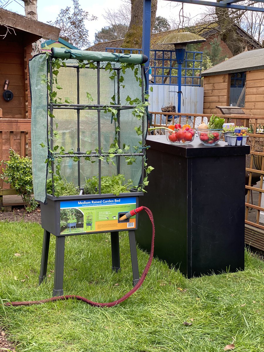 The brand new raised self watering vegetable planter allows easy stylish and clean growing of all vegetables from the comfort of your balcony, patio or garden!
Available <a href="/qvcuk/">QVC UK</a> 

#GardenersWorld #garden #gardenlife #qvcuk #loveyourgarden #growyourown #vegetables #love #planter