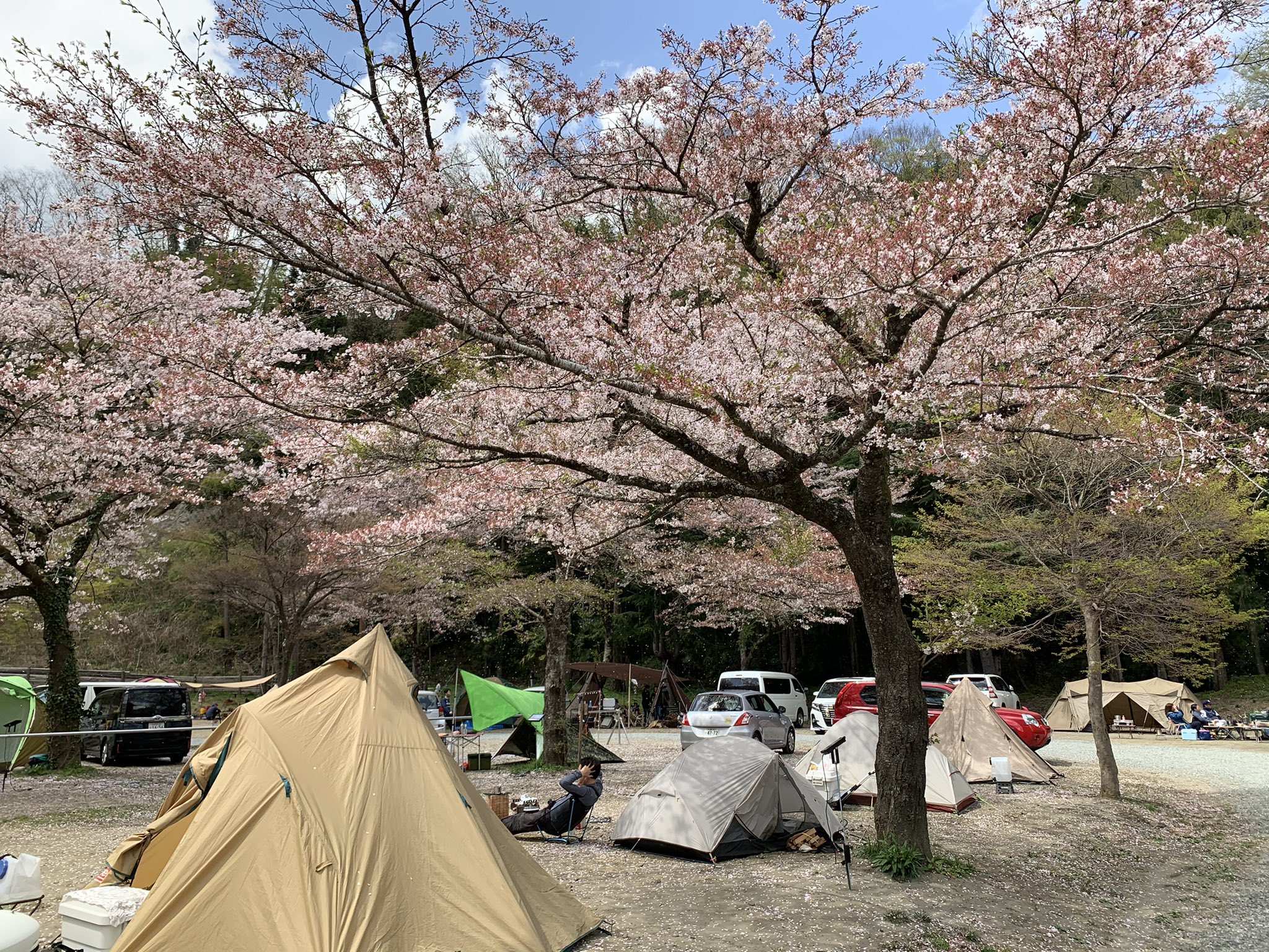 腰痛人生さん 筋トレ初心者 今日はキャンプ場の下見で相模原の青根キャンプ場に来ました バンガロー キャンプサイト シャワー ウォシュレットトイレ等 設備が充実してました なんか出来そうな気がしてきた 今度 朝から行く キャンプ好き