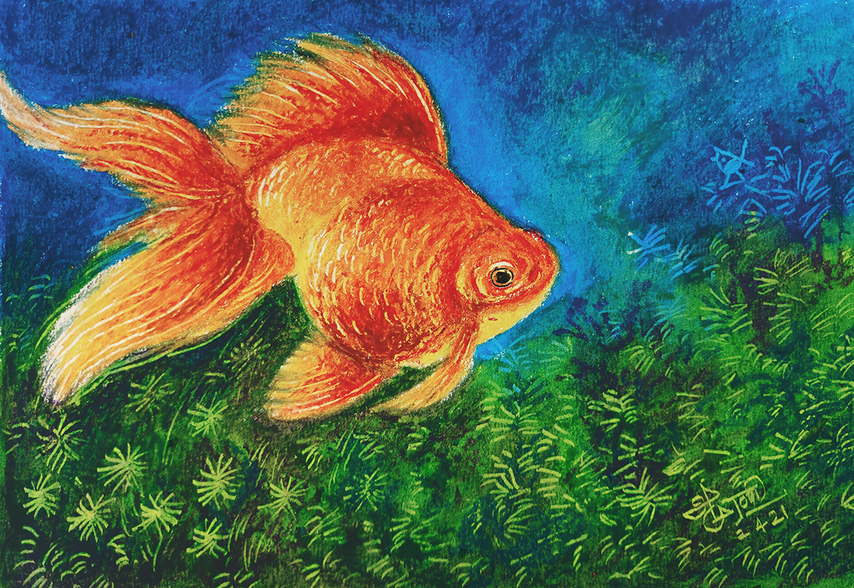 MuralidharanAl1's tweet photo. Beautiful Gold fish | அழகிய தங்க மீன் | Learn oil pastel video - https://t.co/DRgHnMrD1U
#Cuckooo #OnlineArtClasses #Oilpastels #Art #Goldfish https://t.co/UFGbPCVHLQ