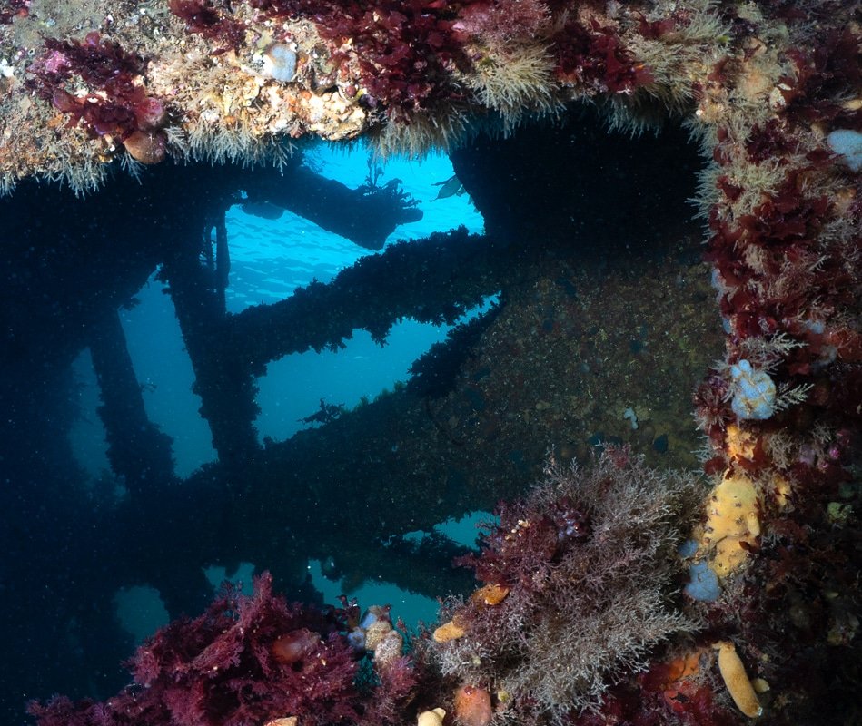 First scuba dive in a while, wasn't bad on the ears, vis not great though. Love the architecture that shipwrecks create #scubadive #scapaflow #ukdiving