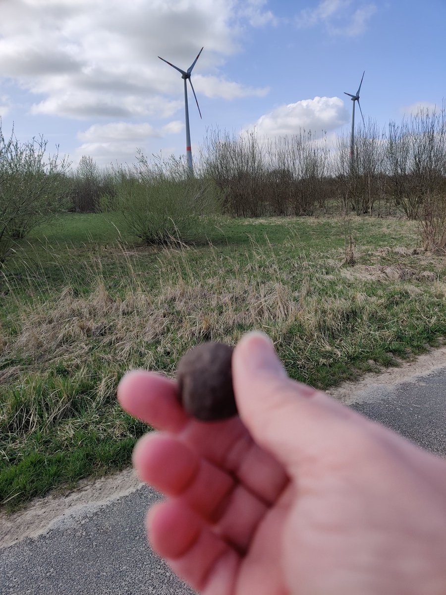 Wenigstens mal ein paar #seedbombs in der Landschaft verteilen ...