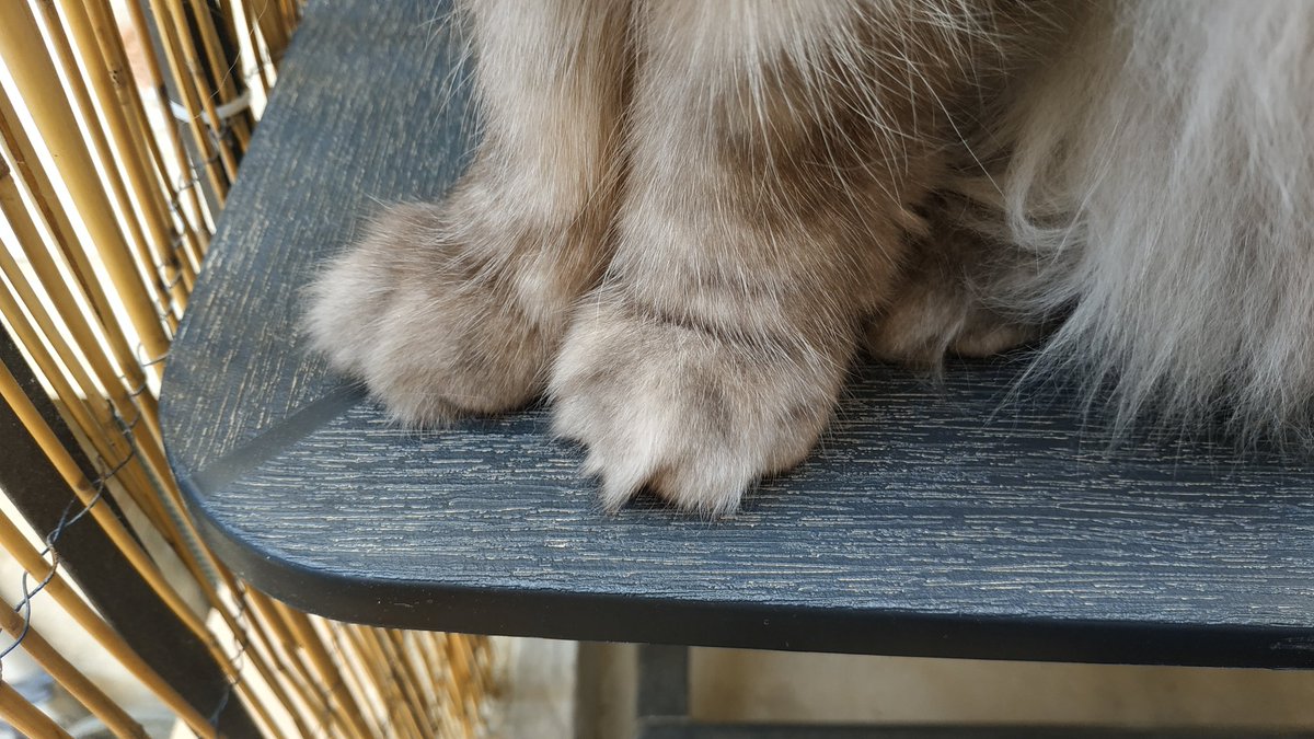 onburningpaths's tweet image. 