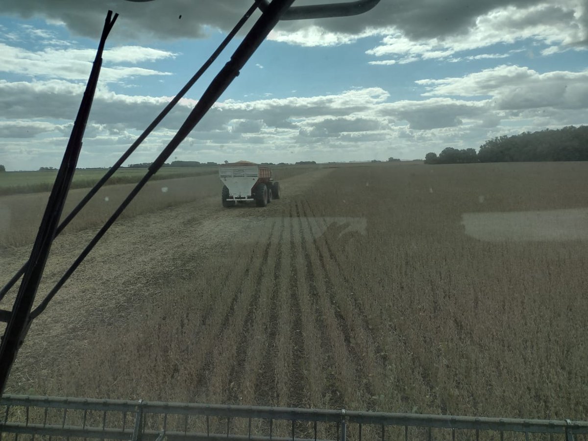 Despacito vamos largando... #gruesa21