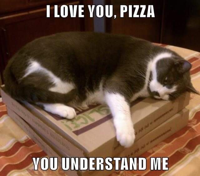 KF7WCN (@kf7wcn) on Twitter photo 