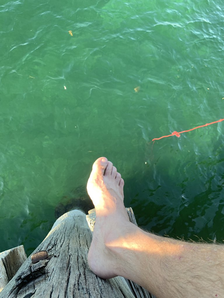 Kids wanted to go crabbing from the jetty. I’m the only one left. Guess I’ll take it all home then.