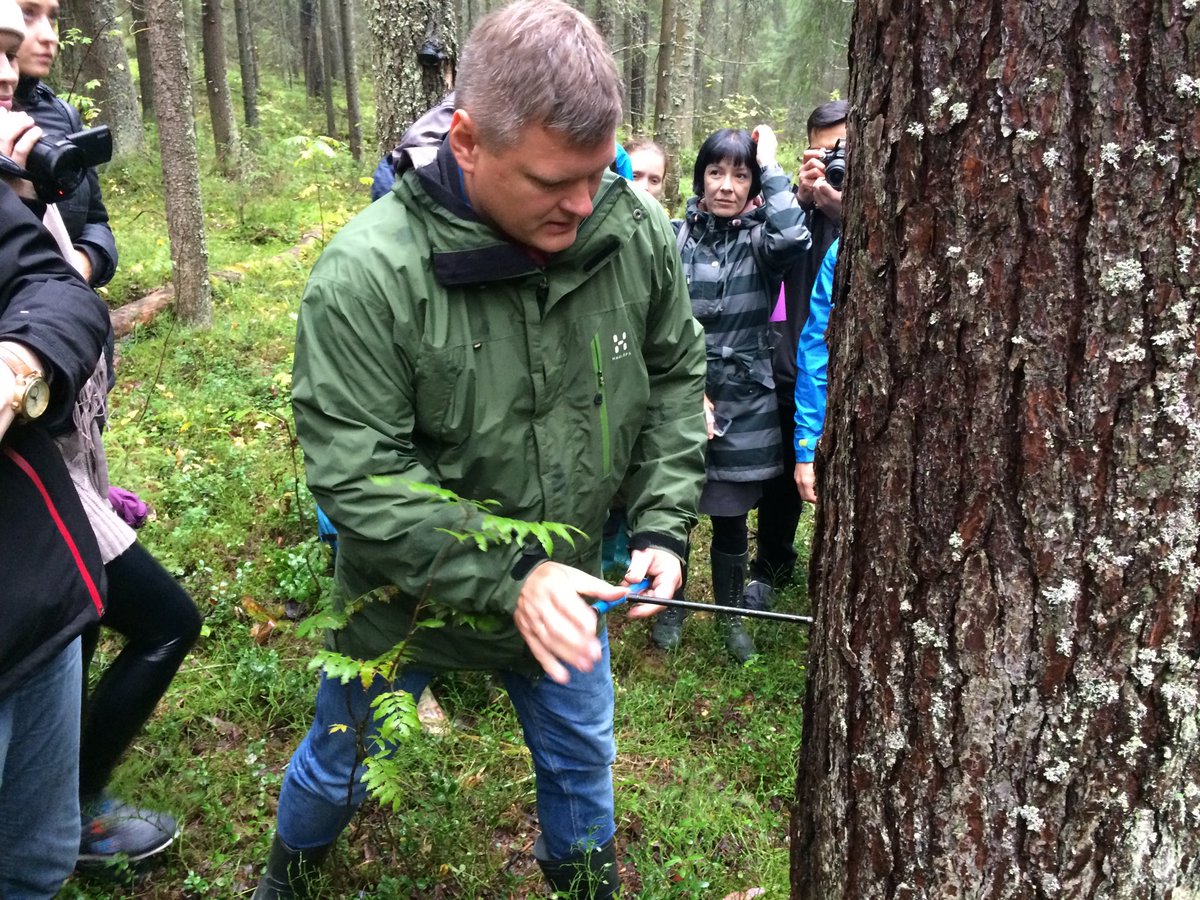 DarrenMcLean_uk's tweet photo. Northern Russia, 2017. 

A conservation carpenter was demonstrating how to ascertain the age of a tree by using a corer. 

Pleasingly, these forests are well managed, with restrictions on what can be felled. https://t.co/flS2dGpzYw