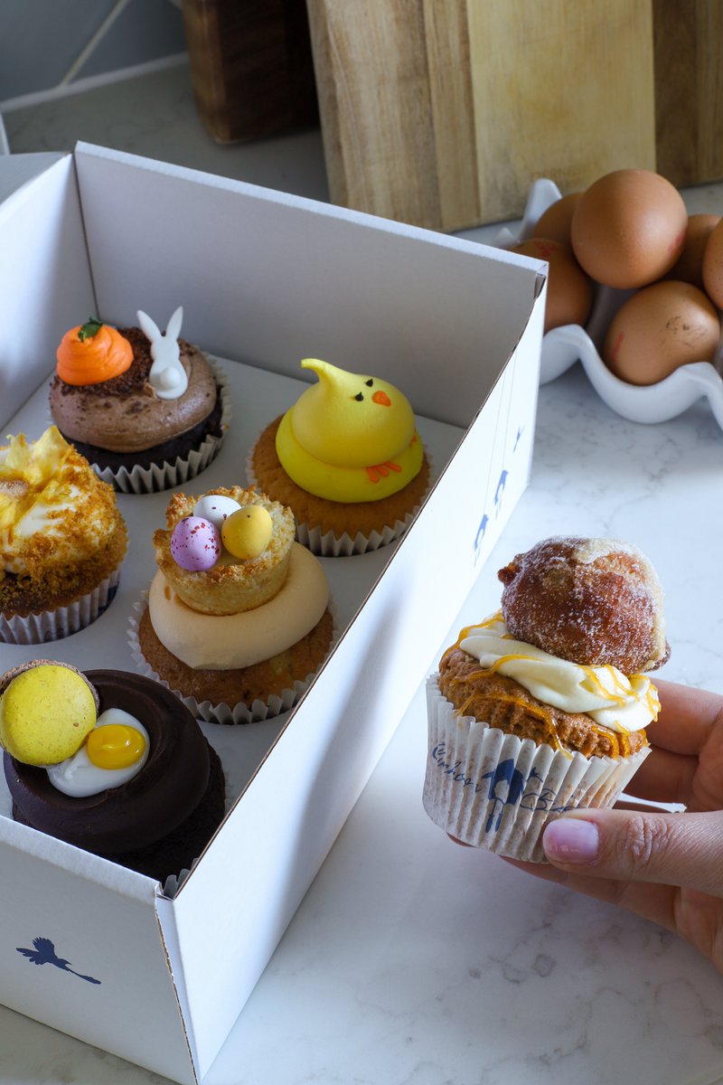 Ailidh Forlan - Plate Expectations tweet media