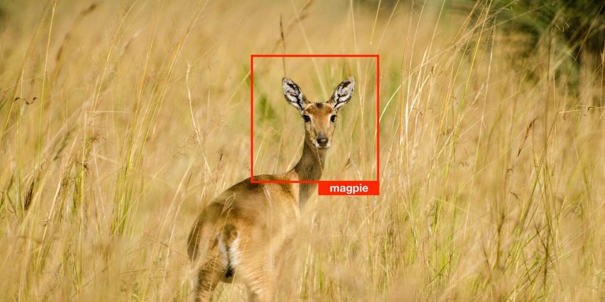 Francesco Pollice tweet media