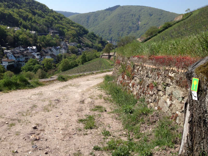 wegepaten's tweet photo. Das Aus für den Rheingauer Rieslingpfad ist beschlossene Sache! Klostersteig, Rheinsteig, Wisper Trails, ... neue Wanderwege verdrängen die bisherigen Angebote. Der Rhein-Taunus-Klub entfernt die Markierung etlicher Wanderwege. Hier können Sie helfen. https://t.co/OFIGysLLHP