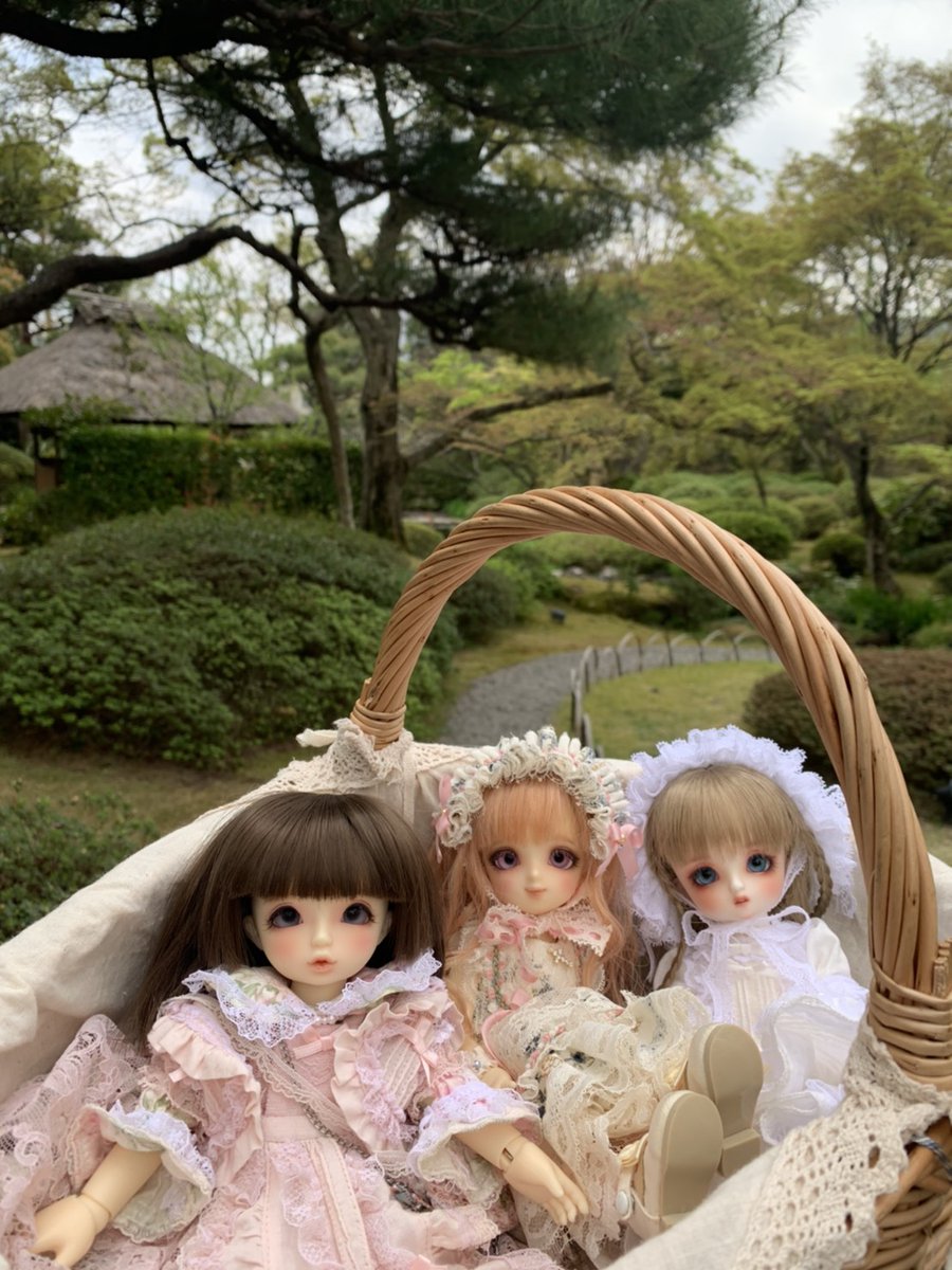 dolls_riz's tweet photo. 金曜日は天使の里に行ってきました☺️
まこちゃんとルルーちゃん連れて行きました(*´ω｀*)
相方の子も一緒に籠に入れて連れてきたので帰りに一緒にお庭で集合写真✨
#幼SD #幼SDまこ #幼SDルルー #スーパードルフィー #天使の里 https://t.co/zj3k4EOd7c
