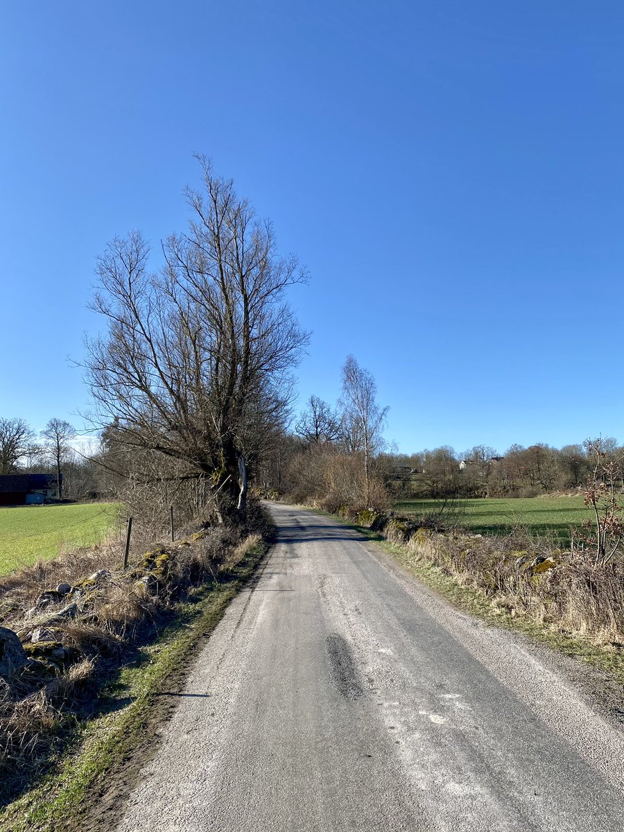 getpepp's tweet image. Crisp morning Wall