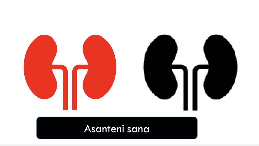 Hospitali ya Taifa Muhimbili imewafanyia upandikizaji wa figo kwa wagonjwa zaidi ya 50.

Mgonjwa aliyekuwa na umri mdogo zaidi kupandikizwa figo alikuwa na umri wa miaka 9. 
•Mama yake mzazi ndiye aliyempatia FIGO.

#ElimikaWikiendi