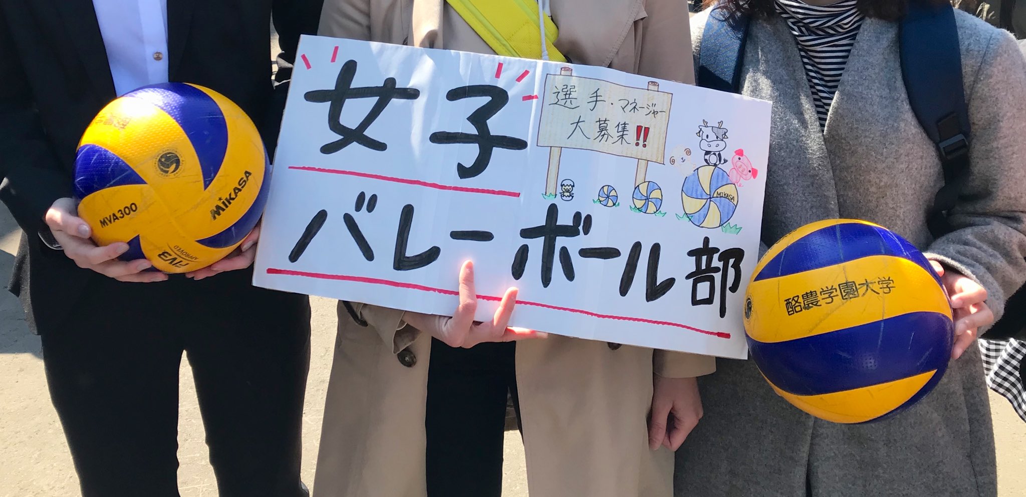 酪農学園大学女子バレー部 Rgufvbc Twitter