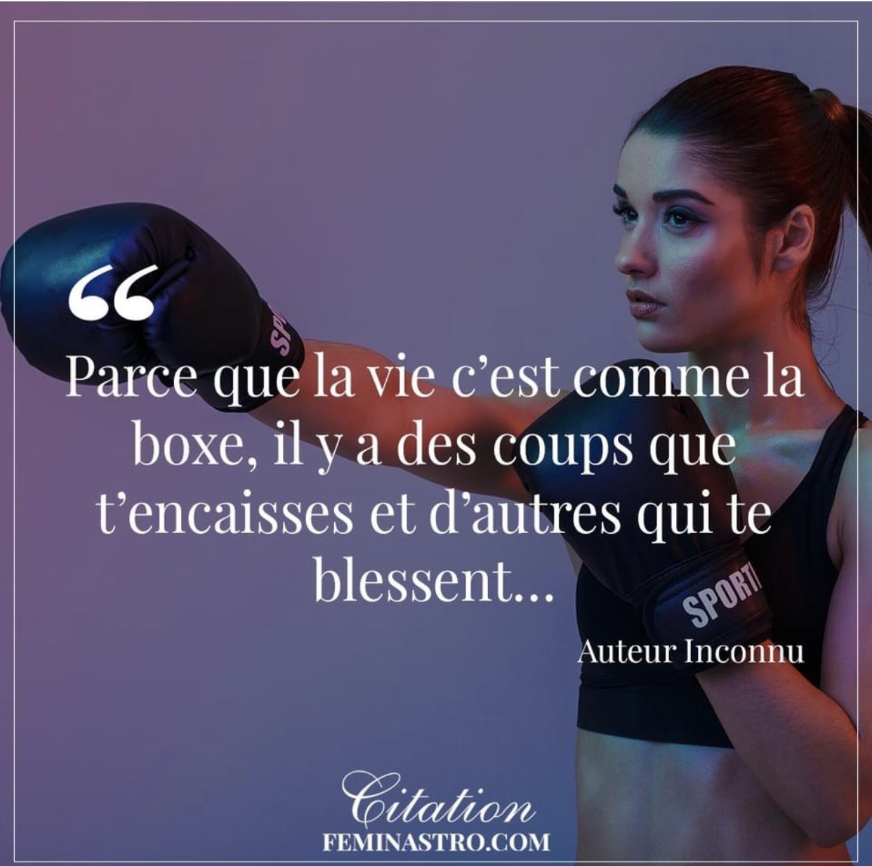 Jihane Cambon Sur Twitter Bonne Journee Boxe Coup Vie Encaisser Blesser Citation Feminastrocom T Co Io5ked4u76 Twitter