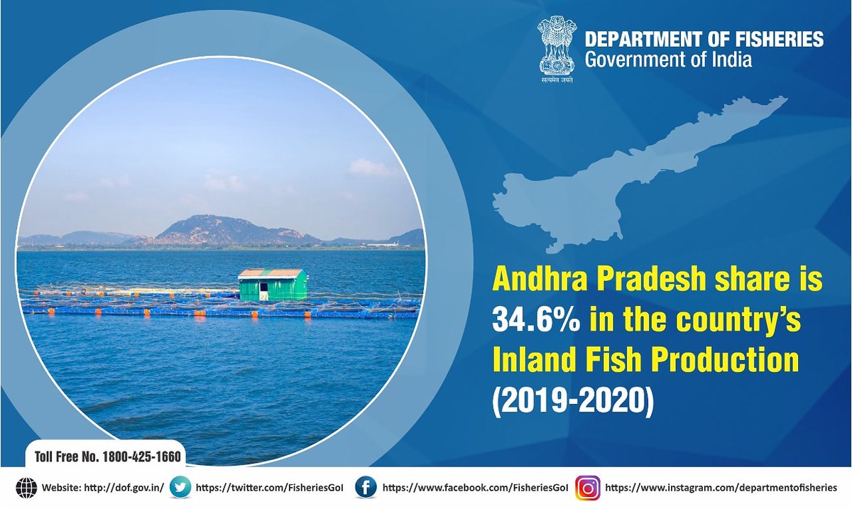 FisheriesGoI's tweet photo. Share of Andhra Pradesh in Inland Fish Production is 34.6%
#Deptoffisheries #andhrapradesh #fishers #Aquapreneur #fishpreneur https://t.co/gfnQrBiHMD