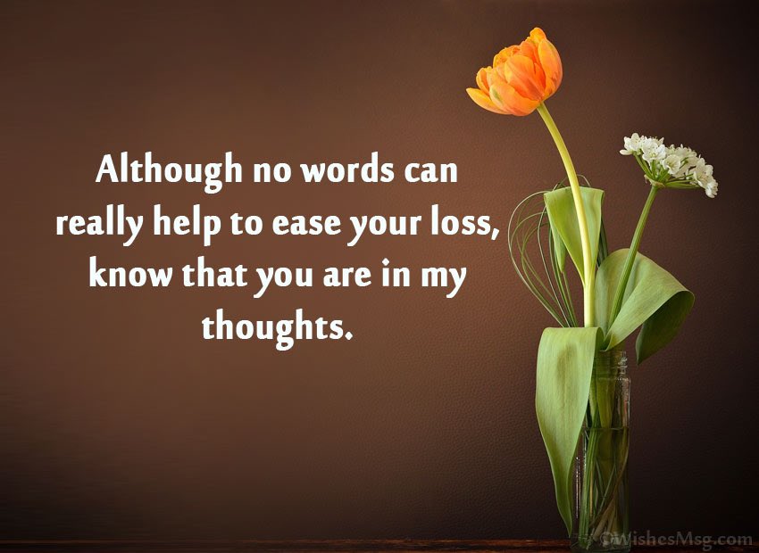 @xandatoto Mukoma @xandatoto I share in the grief of you and your family at this sad time. I am heartbroken💔 May you find the comfort and peace that you seek. MHSRIEP🙏🏿